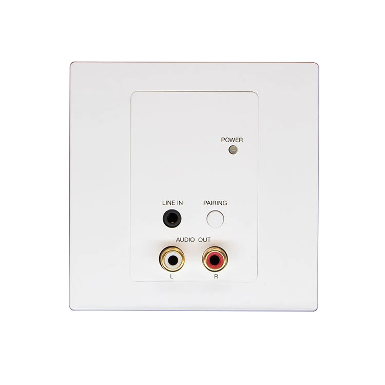 2CH RCA Bluetooth Dante Panel